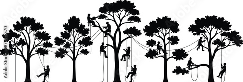 Tree Care and Arborist Work Silhouette Scene with Professional Climbers Pruning and Maintaining Trees, Black Illustration for Forestry, Landscaping, Safety, and Environmental Design