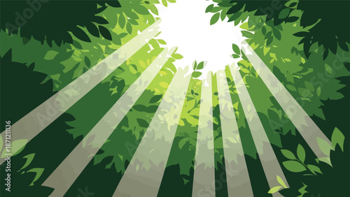 Sunlight streaming through lush green foliage creating a bright and natural woodland scene