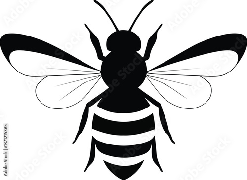 Minimalist line art bee icon with thin outlines and wavy leg details for modern branding projects