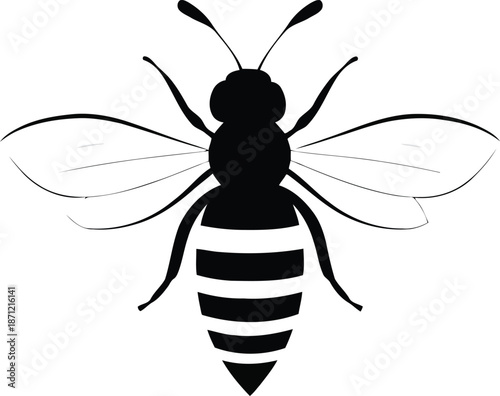 Minimalist line art bee icon with thin outlines and wavy leg details for modern branding projects