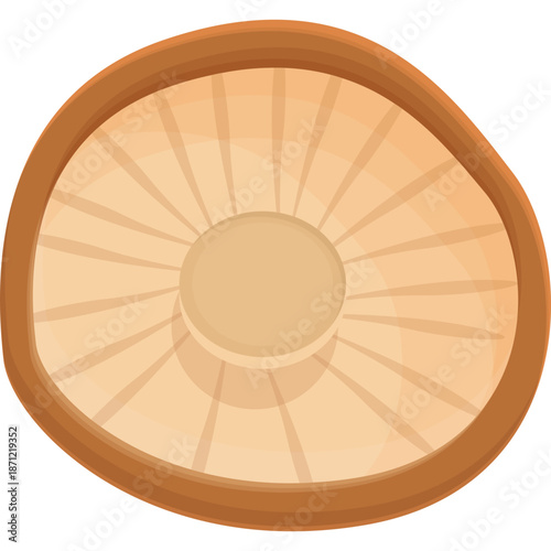 Mushroom Gills Illustration