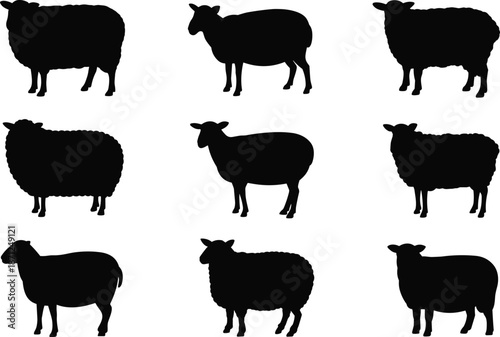 Set of 9 sheep silhouette icons with varied wool textures and poses, ideal for farming, textile, and breed designs.