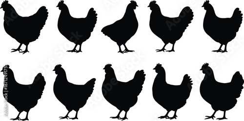 Set of 10 chicken silhouette icons in varied poses and shapes, ideal for farm, poultry, and educational designs.