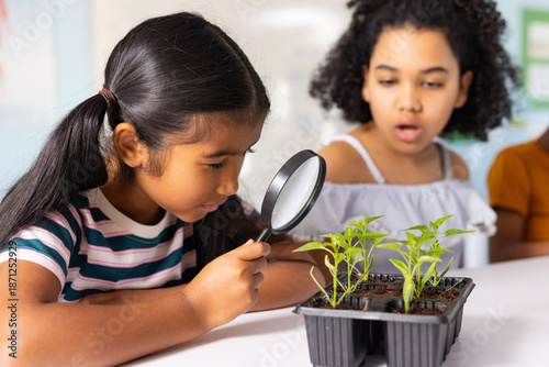 Diverse female child classmates examining seedlings with magnifying glass on white table at school