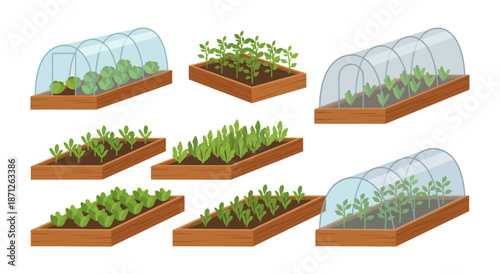 Growing vegetables and plants in raised garden beds and greenhouses