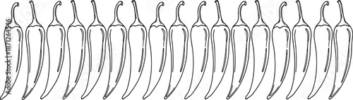 Chili pepper illustration pattern, spicy vegetable sketch, hot food background design, mexican cuisine ingredient art, cad drawing flat vector illustration