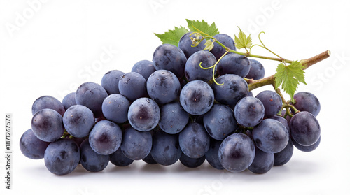 Large bunch of fresh blue grapes with leaves isolated on white background.