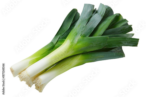 Fresh bunch of leeks, vibrant green leaves and pale yellow stalks