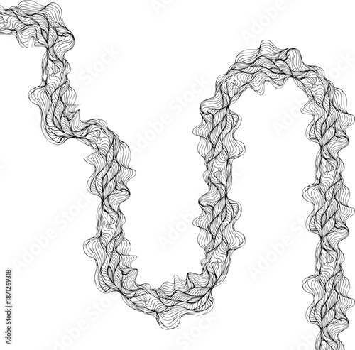 Long rounded path formed by smooth flowing lines creating sustained directional movement.