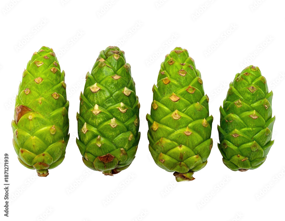 Naklejka premium Four vibrant green conifer cones on a stark black background, showcasing intricate scale patterns