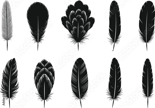 Black feather silhouette vector collection, set of isolated bird plumage icons, decorative hand drawn wings quill graphic elements for design.