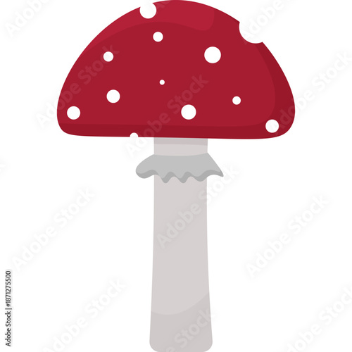 Red and White Spotted Mushroom