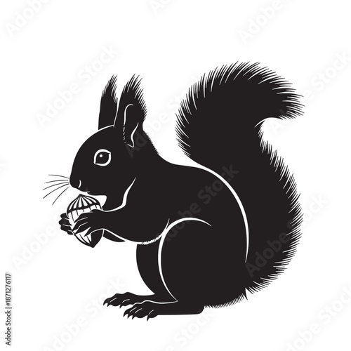 Black silhouette of a squirrel holding an acorn on a white background rodent animal