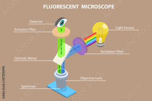 3D Isometric Flat Vector Illustration of Fluorescent Microscope, Instrument Principle And Structure
