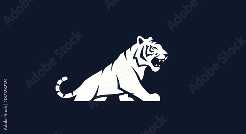 Striking white tiger silhouetted against a dark blue backdrop