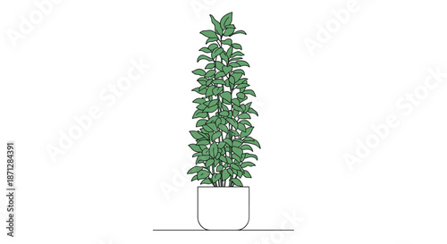 Minimalist illustration of a tall lush green plant growing in a white pot for interior decoration and home gardening concepts.