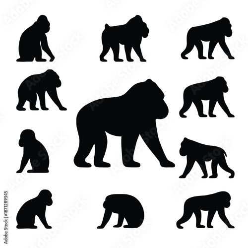 Collection of silhouette illustrations of Mandrill in various poses. 