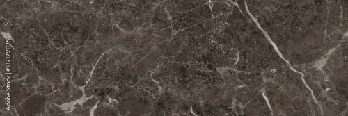 Panel kuchenny z motywem Gray marble with golden curly veins, black marble natural pattern for background, abstract black and gold, black and yellow marble, hi gloss marble stone texture for digital wall tiles design.