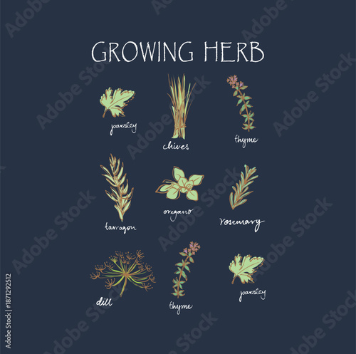 cherry Graphics, kids graphics, strawberryprint, illustration,boys grils graphics, t-shirt pirnt, berry seamless pattern