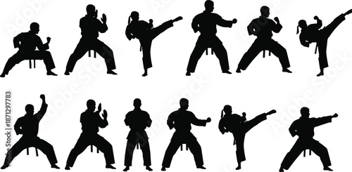 Martial Arts Silhouettes Set, Vector Illustration of Karate Fighters in Combat Poses, Kickboxing Actions, Taekwondo Stances, and Training Movements for Sports Design Graphic
