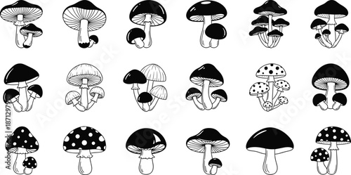 Mushroom Vector Illustration Set, Hand Drawn Fungi Icons Featuring Toadstools, Forest Plants, Organic Autumn Nature Elements, and Mycology Graphics for Botanical Garden Design Projects