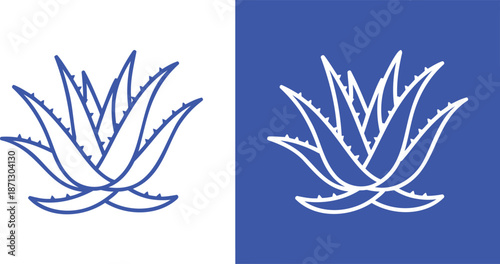 Blue and white aloe vera plant line succulent green