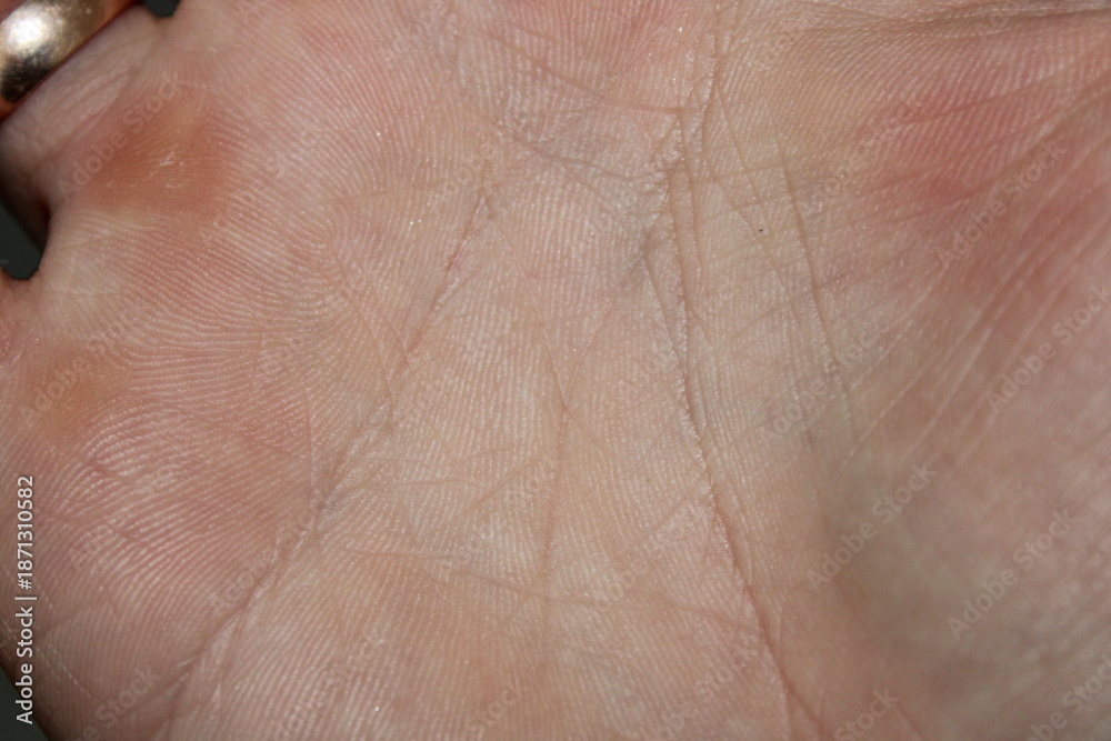 Fototapeta premium Close-up view of a human palm showing lines and texture under light