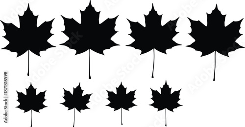 Black maple leaf silhouette icons set, isolated autumn foliage nature symbols, Canadian forest tree leaf elements for graphic design projects.