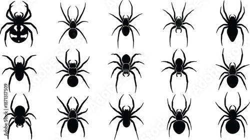 Collection of spider silhouettes, black arachnid icons in various shapes, creepy insect vector set for Halloween design, isolated bug graphic elements
