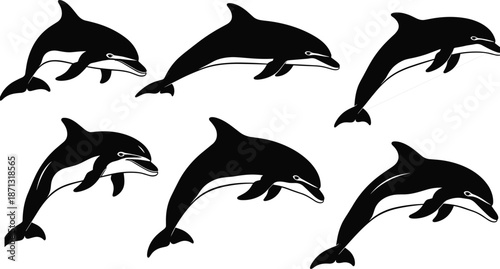 Dolphin silhouette vector set, jumping sea animal shapes, isolated aquatic mammal icons for summer ocean patterns, marine life and beach design