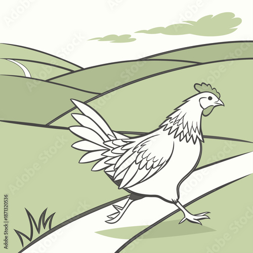 White Chicken Walking on a Path in a Green Landscape