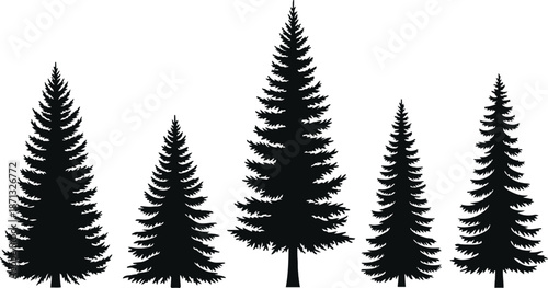 Collection of silhouette pine trees, evergreen tree black silhouettes on a white background.