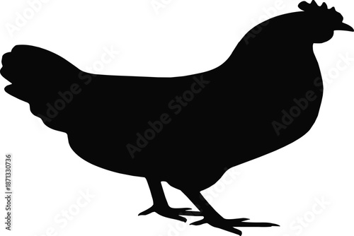 Chicken silhouette illustration showing farm poultry animal standing profile isolated black shape on white background vector design
