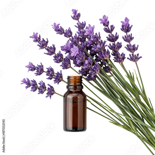 Lavender Flowers Next to a Small Bottle on a White Background in a Simple Arr...