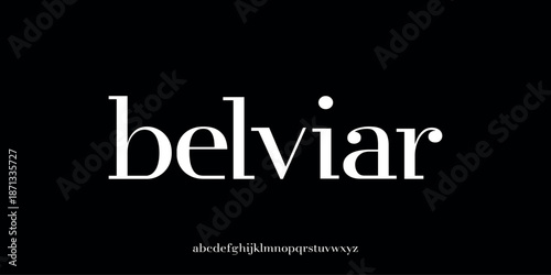 Vector illustration of an elegant serif style alphabet letter display with a classic modern touch.