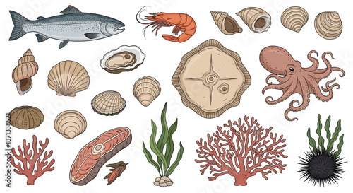 Diverse collection of sea creatures and seafood items including fish, shrimp, octopus, shells, coral, and seaweed.