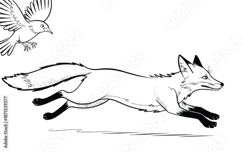 black and white drawing of a running fox and flying bird