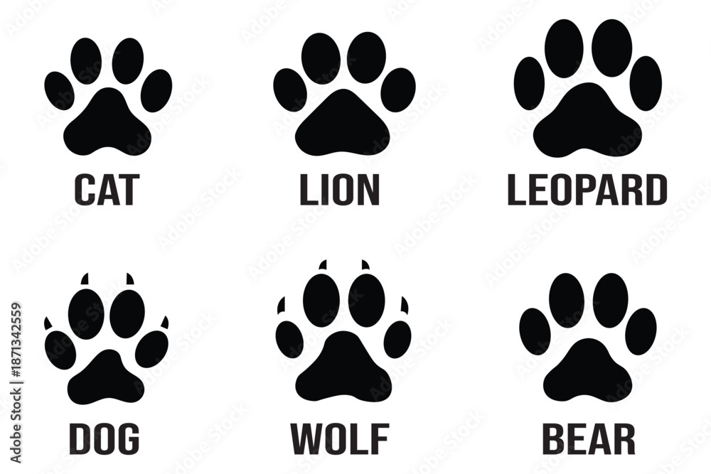 Fototapeta premium animal paw print Vector illustration.