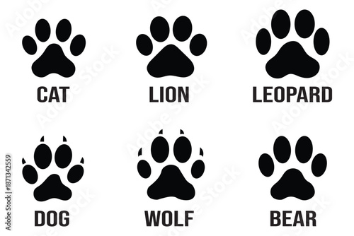 animal paw print Vector illustration.