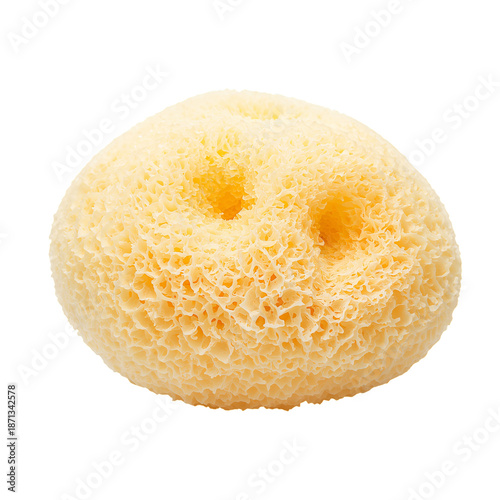 Natural Sea Sponge Used for Cleaning and Bathing in Various Settings, Includi...