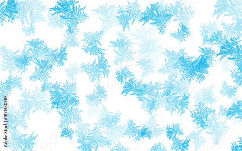 Ice. Fern Frost. Crystal. An isolated PNG of branching fern-like ice crystals and frost patterns on a transparent background for winter window decoration or frozen atmosphere concepts.