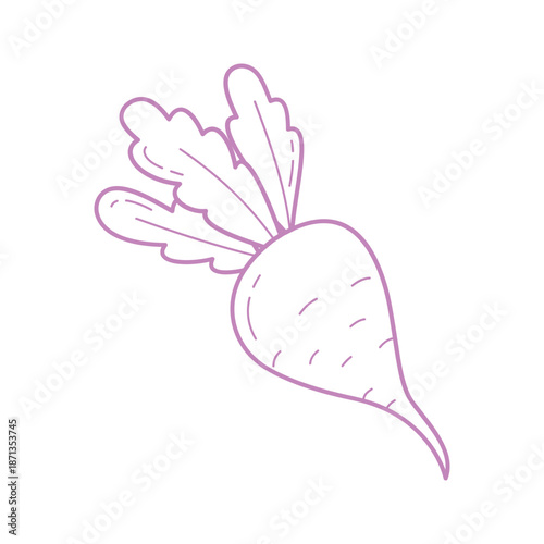 Cute Beetroot Hand Drawn Illustration in Minimal Doodle Style