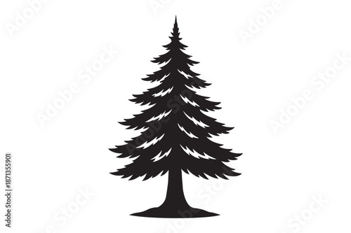 Cedar tree isolated on white