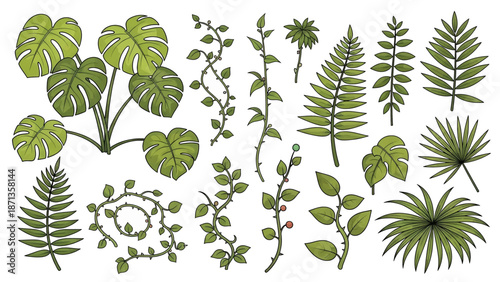 Hand-drawn collection of diverse green tropical plant leaves and climbing vines illustration set.