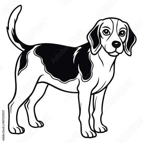 Beagle Dog Line Art Vector Illustration.
