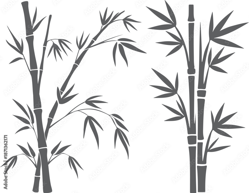 Fototapeta premium Gray bamboo stalks with leaves on white background plant