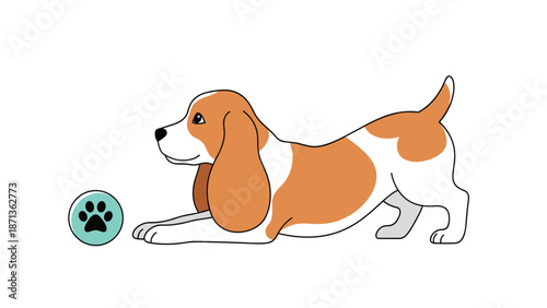 Playful beagle puppy in a crouching position looking at a teal ball with a black paw print symbol on a clean white background.