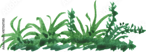 Tablou pe pânză Hand painted watercolor deep green grass botanical brush stroke divider element