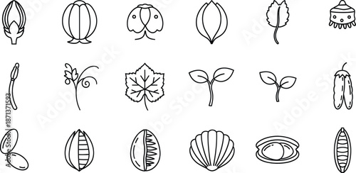 A comprehensive collection of line art icons depicting plant life cycle stages and natural elements