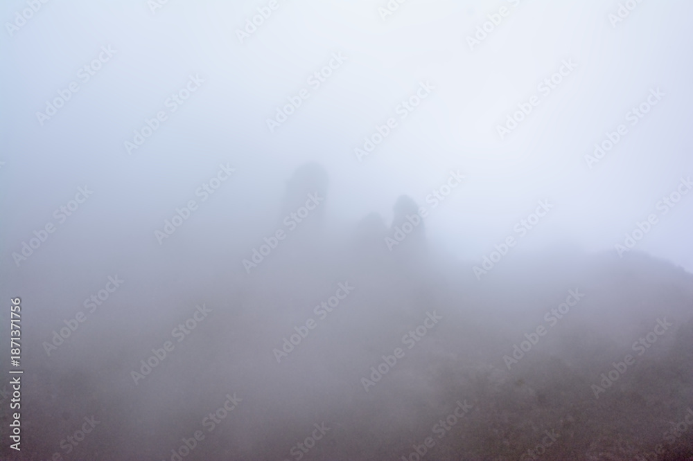 Obraz premium Karst mountains with rocks and trees in the fog in Montserrat national park, Catalonia, Spain 